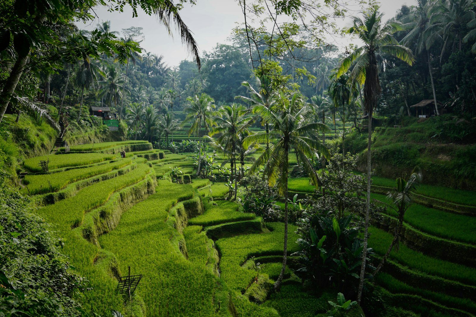 Besakih Mother Temple, Bali