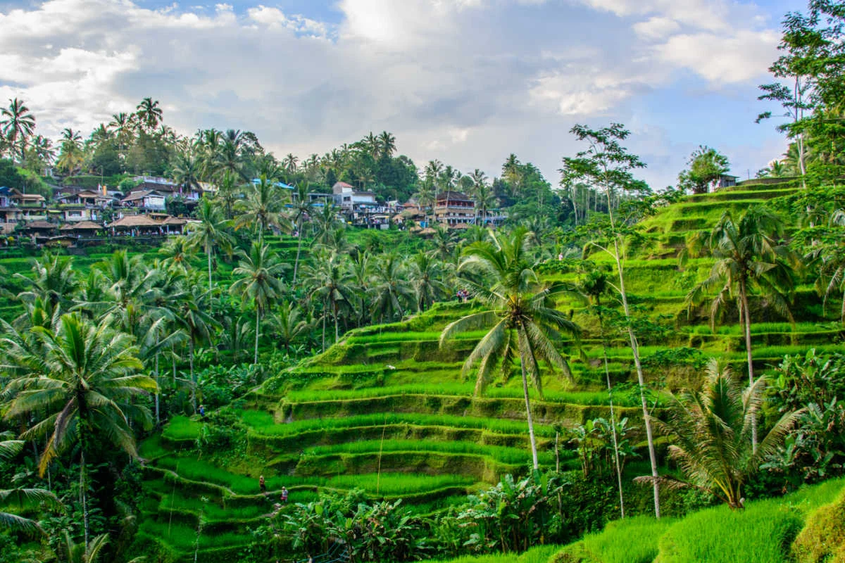 Tejakula → Ubud